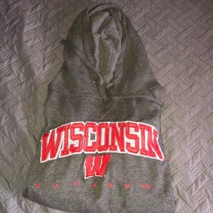 Badger hoodie